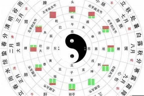 八字流汗|生辰八字算命、五行喜用神查询（免费测算）